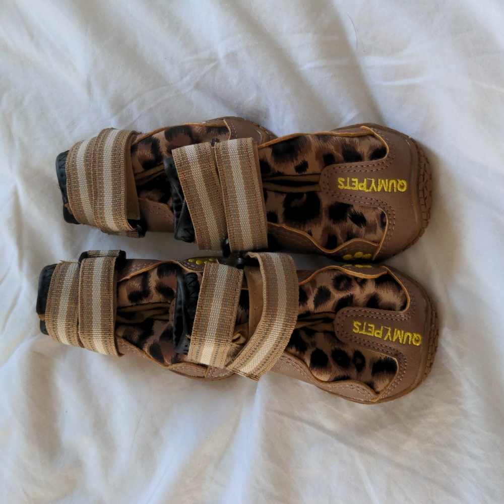 Dog boots